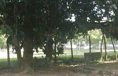 Imagem 7: Granja em Goiana Eldorado