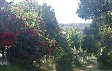 Imagem 8: Granja em Goiana Eldorado