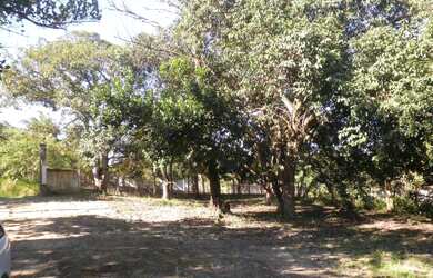 Imagem 14: Granja em Goiana Eldorado