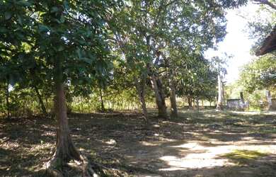 Imagem 15: Granja em Goiana Eldorado