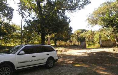 Imagem 12: Granja em Goiana Eldorado