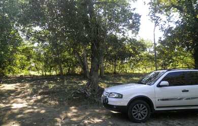 Imagem 13: Granja em Goiana Eldorado