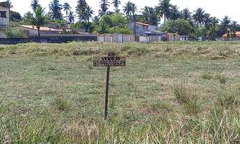 Imagem 2: TERRENO EM BARRA DE SERINHAEM