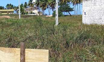 Imagem 4: TERRENO EM BARRA DE SERINHAEM