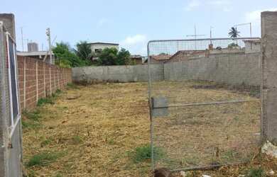 Imagem: TERRENO EM BARRA DE JANGADA