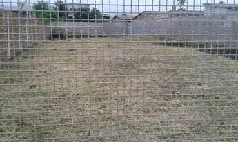 Imagem 4: TERRENO EM BARRA DE JANGADA