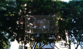 Imagem: YOCOHAMA C GRANDE