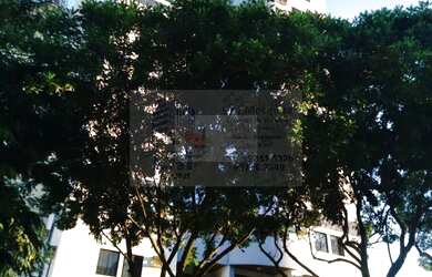 Imagem: YOCOHAMA C GRANDE