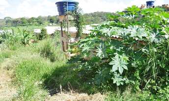 Imagem 5: Lote FINANCIADO com barracão a venda no Bairro Nápoli