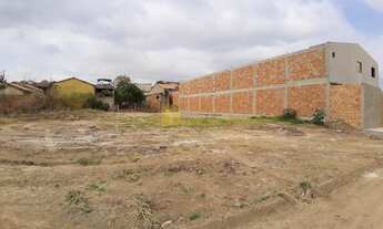 Imagem 2: Lote Plano no São Pedro Esmeraldas