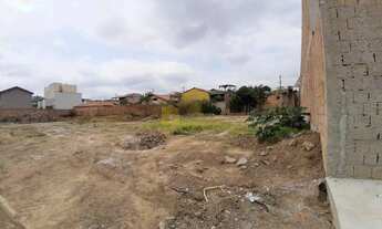 Imagem 3: Lote Plano no São Pedro Esmeraldas