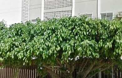 Imagem: Vendo Apto 03 Quartos suite dep. Completo