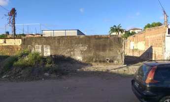 Imagem 4: Terreno plano 13 X 30 nascente Vendo lote com 390m2 em Jardim Atlântico 250mil