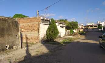 Imagem 6: Terreno plano 13 X 30 nascente Vendo lote com 390m2 em Jardim Atlântico 250mil