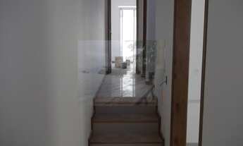 Imagem 5: Mata Paca à Venda