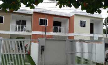 Imagem: Mata paca à Venda