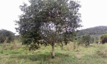 Imagem 3: Area comercial em Itaipuaçu