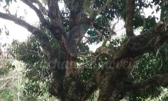 Imagem: Rural à Venda em Itaocaia Valley