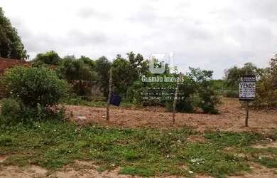 Imagem 5: LOTE PARA VENDA EM MACAÍBA