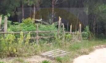 Imagem 7: Chácara 1500 m2 com linda vista Alpes da Castelo 2