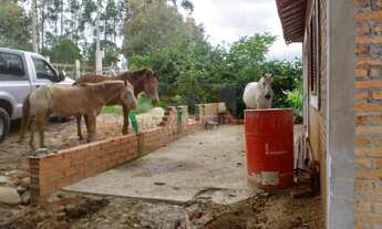 Imagem 6: Chácara com 12 mil m2 vizinha da Ana Maria Braga Mococa