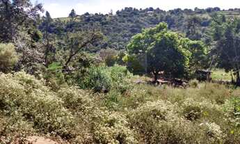 Imagem 7: Chácara com casa 100% aproveitável rica em água Residencial São Marcos