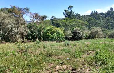 Imagem 10: Chácara com casa 100% aproveitável rica em água Residencial São Marcos