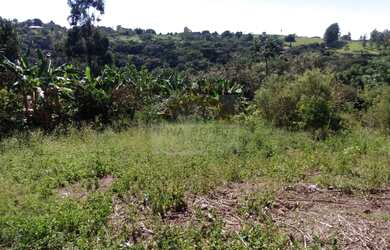 Imagem 12: Chácara com casa 100% aproveitável rica em água Residencial São Marcos
