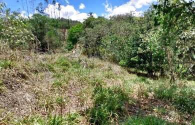 Imagem 3: Linda Chácara 48mil m2 rica em água Residencial São Marcos