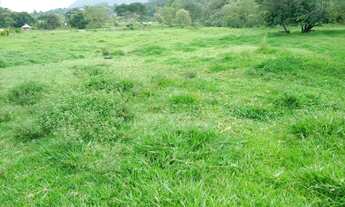 Imagem: 2 Chácaras totalizando 42 mil m2 plana