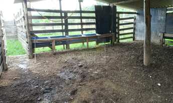 Imagem 3: 2 Chácaras totalizando 42 mil m2 plana e 100% aproveitável com rio e perto da cidade Res