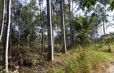 Imagem 4: Rural à Venda em Fazenda São Marcos