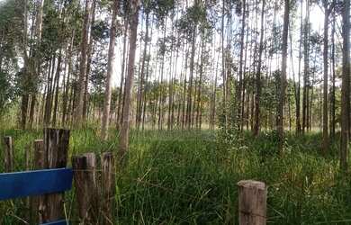 Imagem 5: Rural à Venda em Fazenda São Marcos