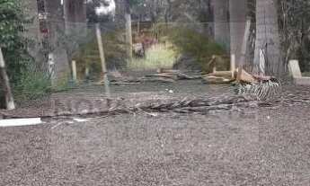 Imagem 2: Lote com 2 mil m2 já com casa iniciada Condomínio 7 Nascentes