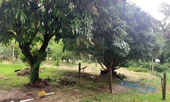 Imagem: Chácara pronta com casa e pomar Bairro