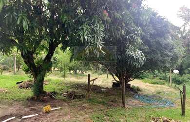 Imagem: Chácara pronta com casa e pomar Bairro