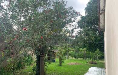 Imagem 2: Chácara pronta com casa e pomar Bairro Gigante