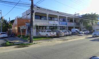 Imagem 2: Galeria Monte dos Arroios