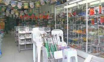 Imagem 2: RUA FRANCISCO DE SOUZA