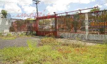 Imagem 2: TERRENO BR 101 Terreno / lote com aluguel por R$7.000 /mês