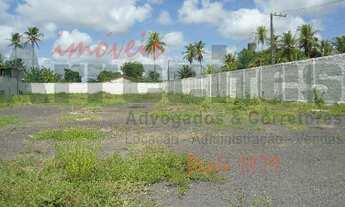 Imagem 3: TERRENO BR 101 Terreno / lote com aluguel por R$7.000 /mês