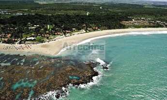 Imagem: Beach Class Eco Life - Casas