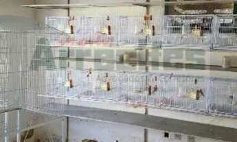 Imagem 2: Av. sul à Venda