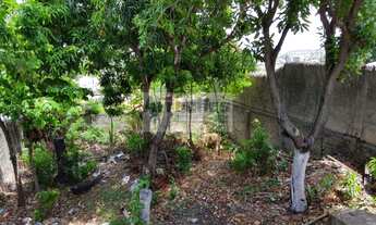 Imagem 5: RUA BERNARDO VIEIRA DE MELO