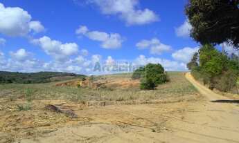 Imagem: FAZENDA NOSSA SENHORA DE FATIMA E ENGENHO