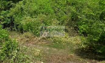 Imagem: FAZENDA SANTA IZABEL (20 ha