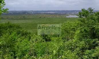 Imagem 2: FAZENDA SANTA IZABEL (20 ha