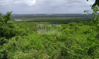 Imagem 3: FAZENDA SANTA IZABEL (20 ha