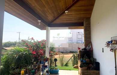 Imagem 6: PALMEIRAS IMPERIAIS