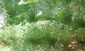 Imagem: Sala/Casa Comercial para Locação em Varadouro